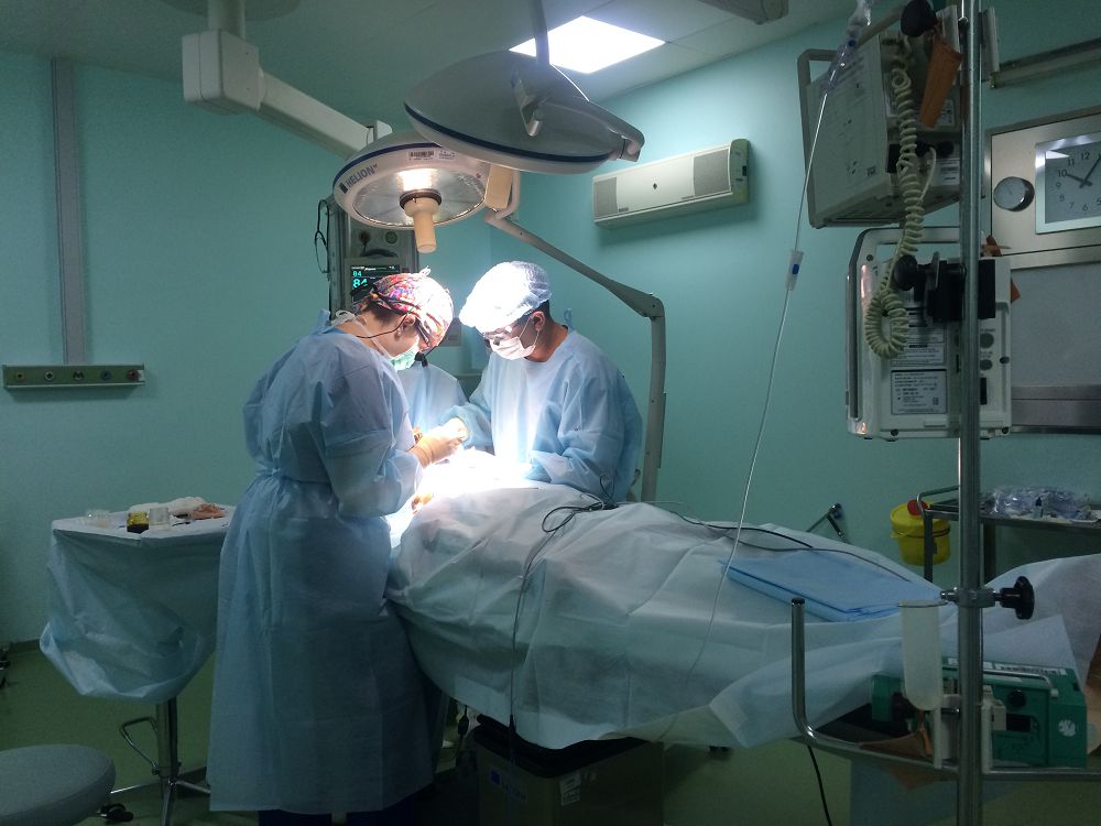 استانادا 70-تەن اسا بالاعا تەگىن وپەراتسيا جاسالدى