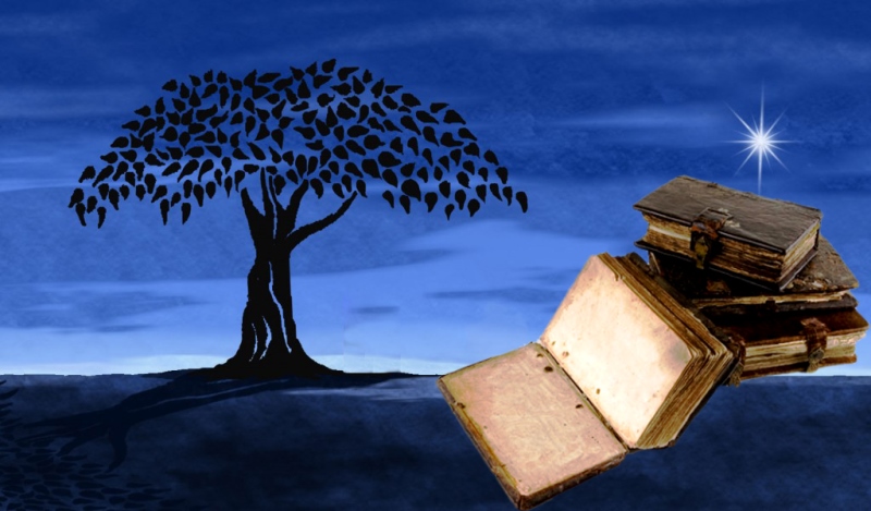 تەرىس وقۋ (ەسسە)