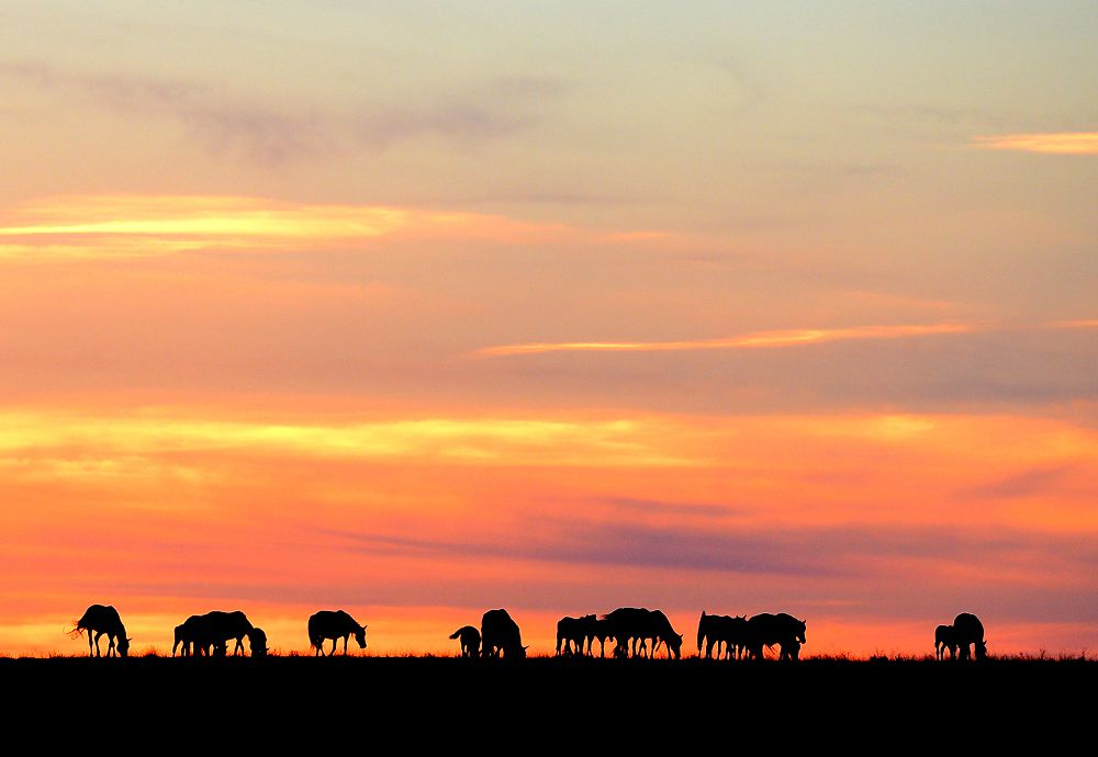 اتىڭنان اينالايىن, قارقارالى