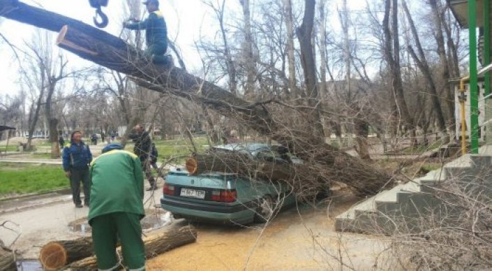 ساعىنتاەۆ تارازدا داۋىلدان قازا بولعانداردىڭ وتباسىنا كومەكتەسۋدى تاپسىردى