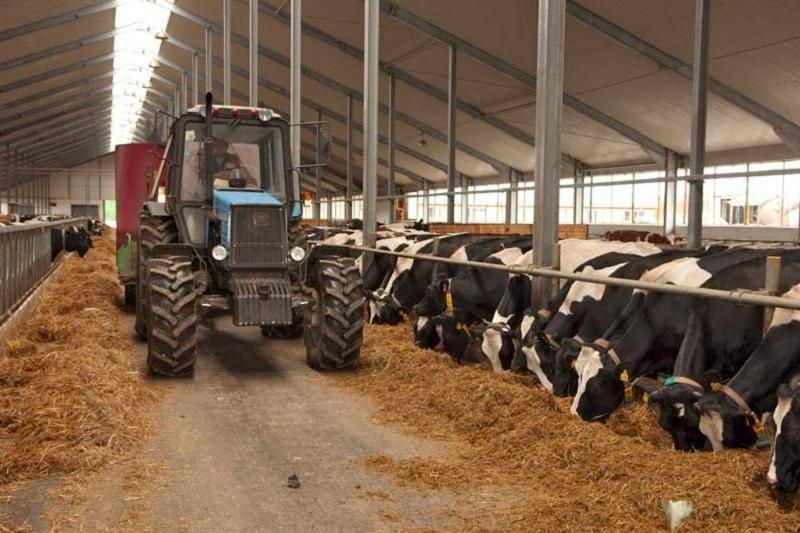 كووپەراتيۆتەردى قولداۋعا 52 ملرد تەڭگە ءبولىندى