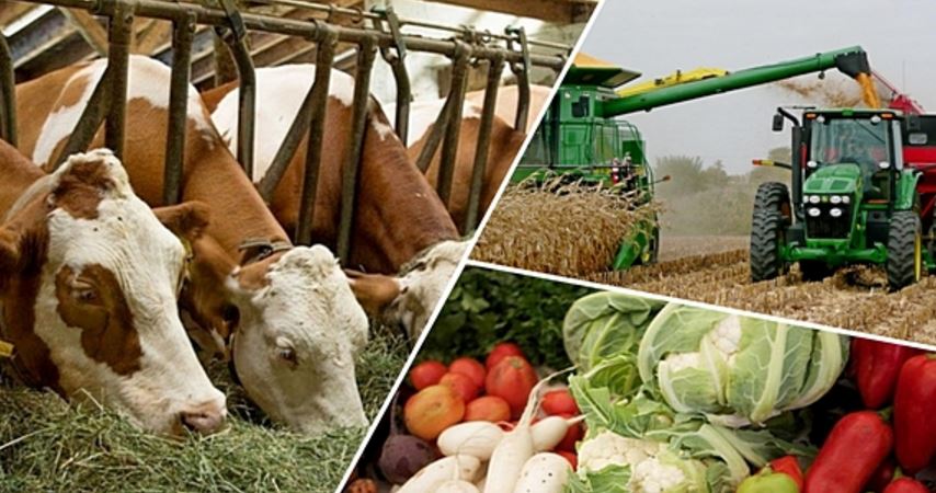 وقو-دا اۋىل شارۋاشىلىعى كووپەراتيۆتەر كوبەيىپ كەلەدى