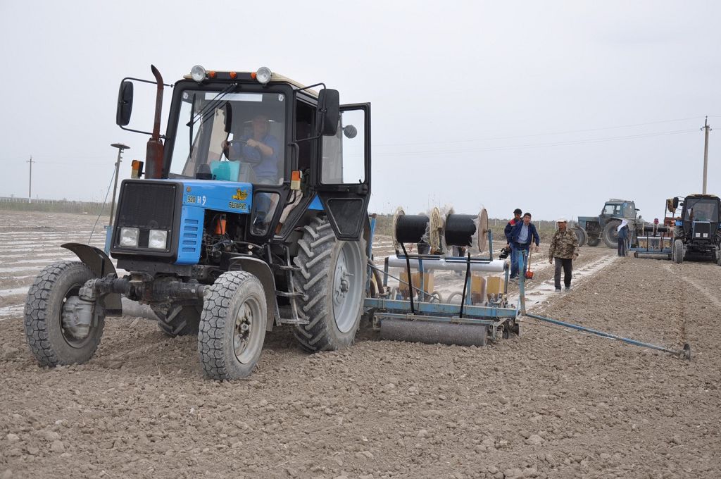 جاڭا تەحنولوگيا جەمىسىن جەگىزۋدە