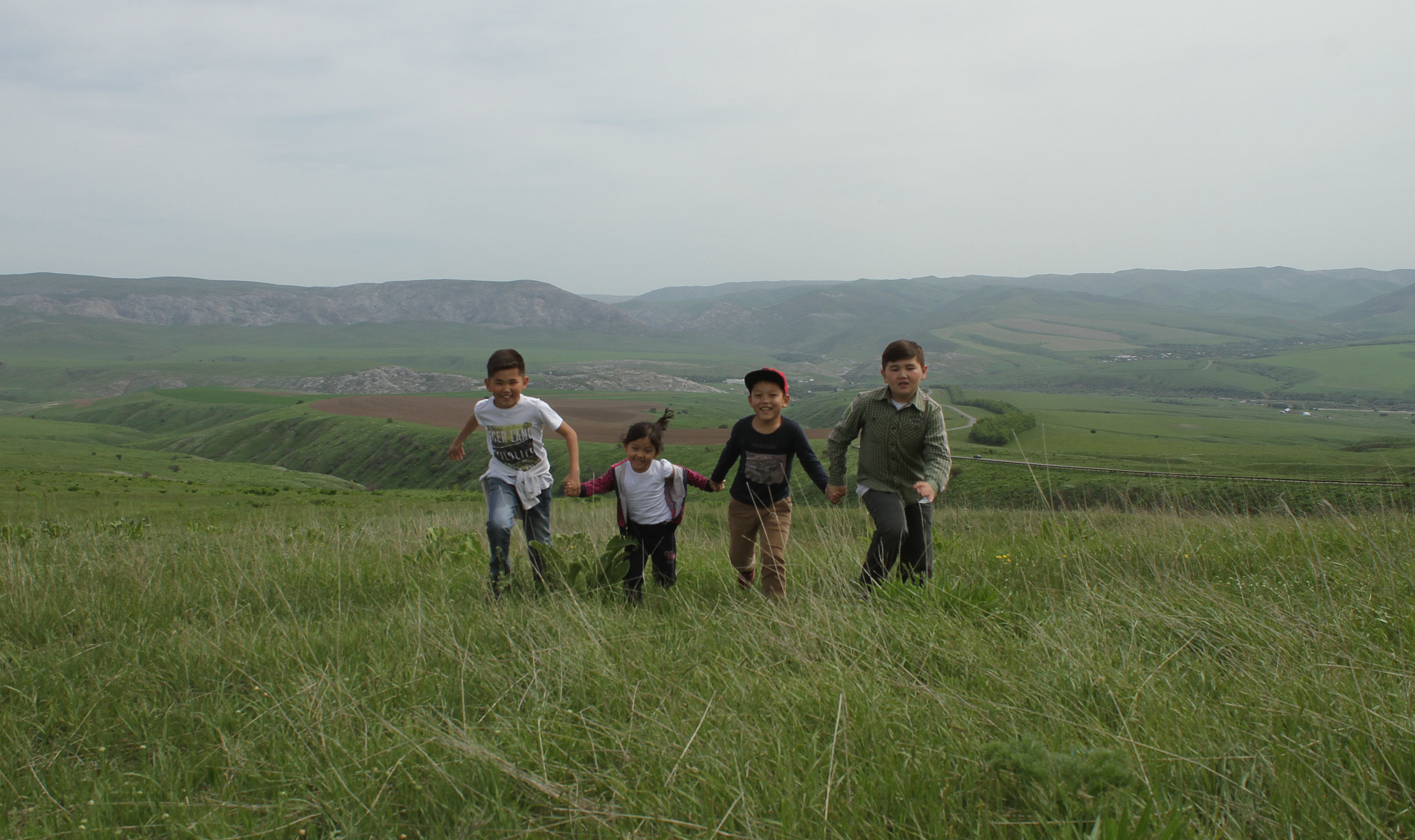 تۇلعا تاعدىرىنداعى تۋعان جەر