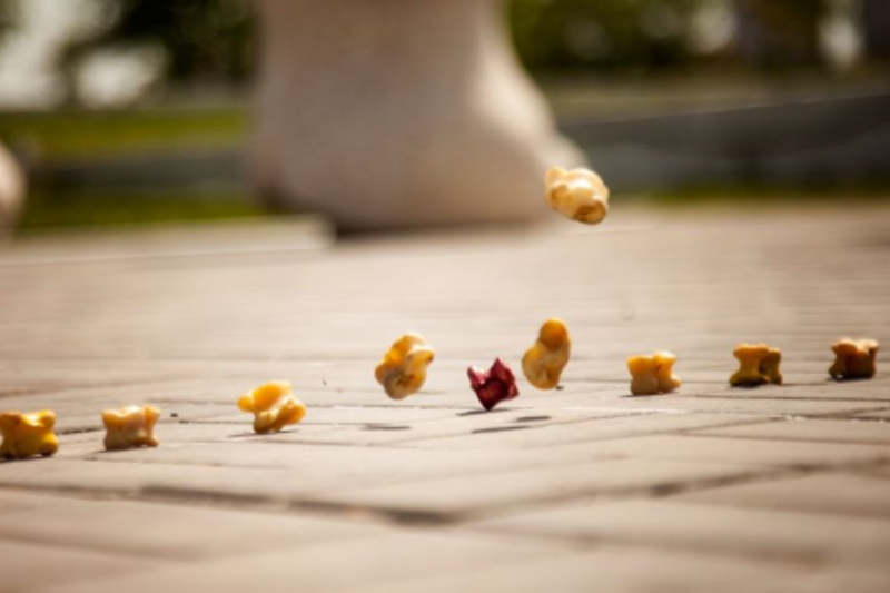 اسىقتىڭ اقيقاتى