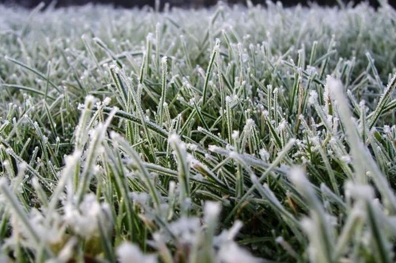 اقمولا وبلىسىندا ۇسىك جۇرەدى