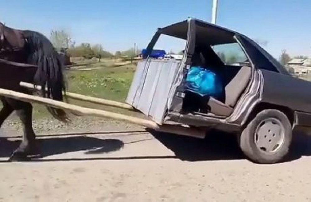 اۋىلداعى «اۋدي-اربا»