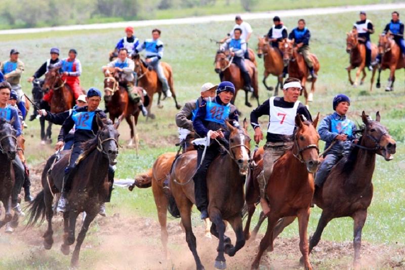 استانادا ات سپورتى تۇرلەرىنەن «ەكسپو كۋبوگى» جارىسى باستالدى