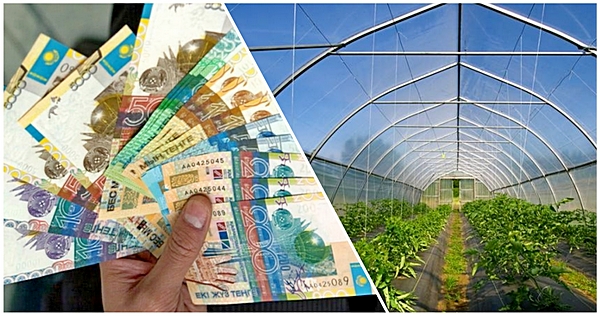 اكەسىنە زاڭسىز  سۋبسيديا الىپ بەرگەن