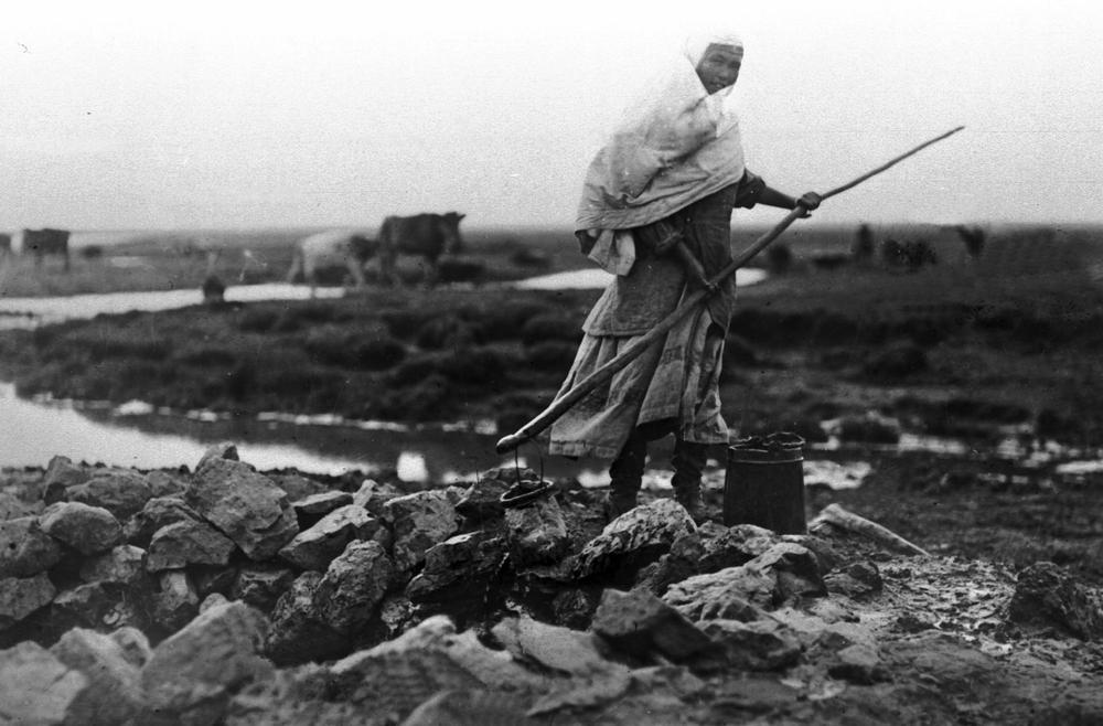 ادامزات تاريحىنداعى ايانىشتى ەپيزود