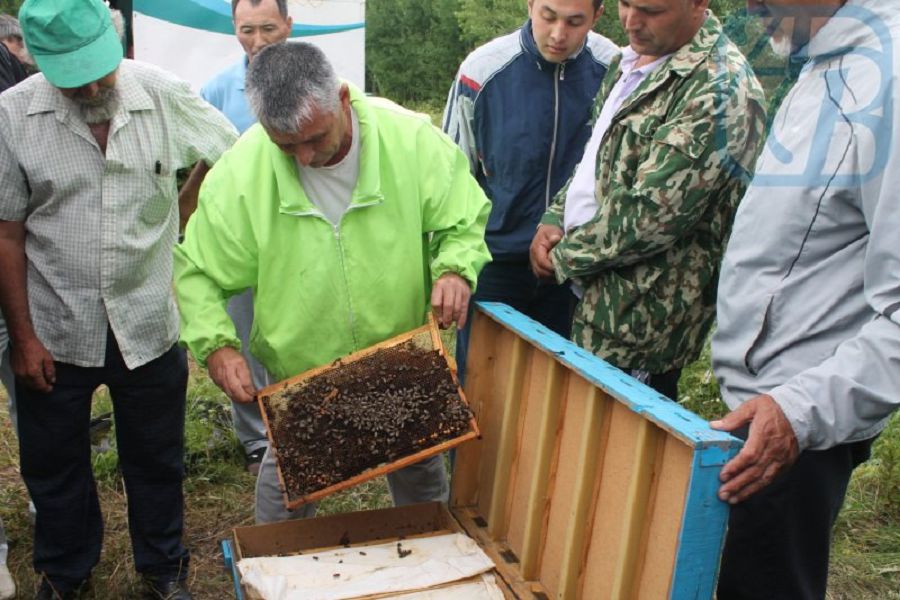 بال ۇستاعاندارعا دا باپ كەرەك