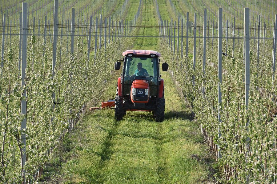 وقو-دا اۋىل شارۋاشىلىعى باعىتىندا 8 ءىرى ينۆەستيتسيالىق جوبا جۇزەگە اسىرىلدى