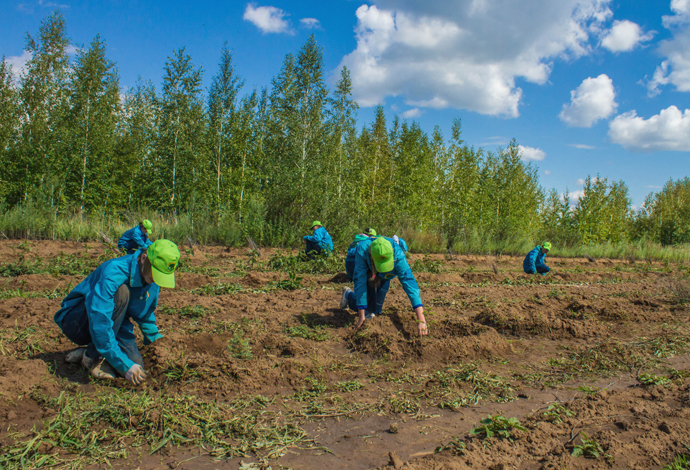 «جاسىل ەلدىڭ» جاستارى قازبا جۇمىستارىنا قاتىسادى