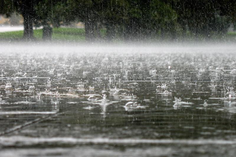 24 ماۋسىم كۇنى قازاقستاننىڭ باسىم بولىگىندە جاڭبىر جاۋادى