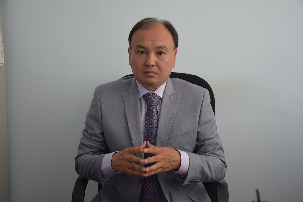 جاڭا پاسسيونارلىق باعىت