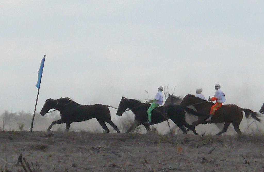 شاباندوزى جىعىلعان جۇيرىك