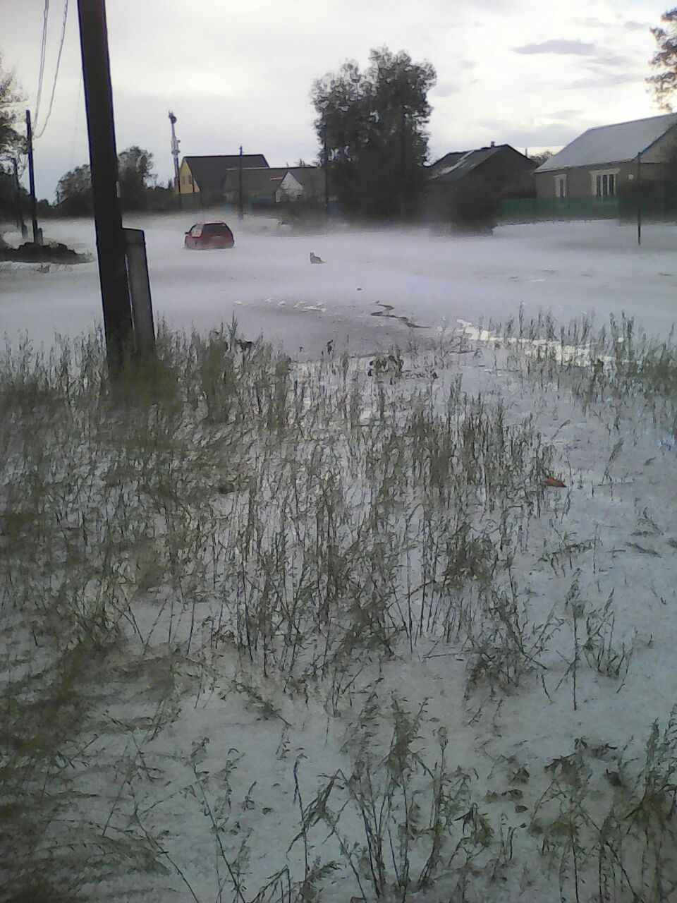 باتىس قازاقستان وبلىسىندا شىلدەدە قار جاۋدى