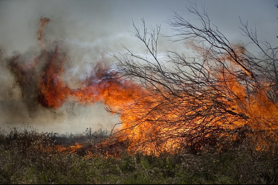 اتىراۋدا ءتىلسىز جاۋدان قورعانۋ شارالارى جەتىلدىرۋدى قاجەت ەتەدى