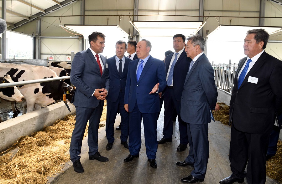 ەلباسى «مايلى داقىلداردىڭ تاجىريبەلىك شارۋاشىلىعى» جاۋاپكەرشىلىگى شەكتەۋلى سەرىكتەستىگىندە بولدى