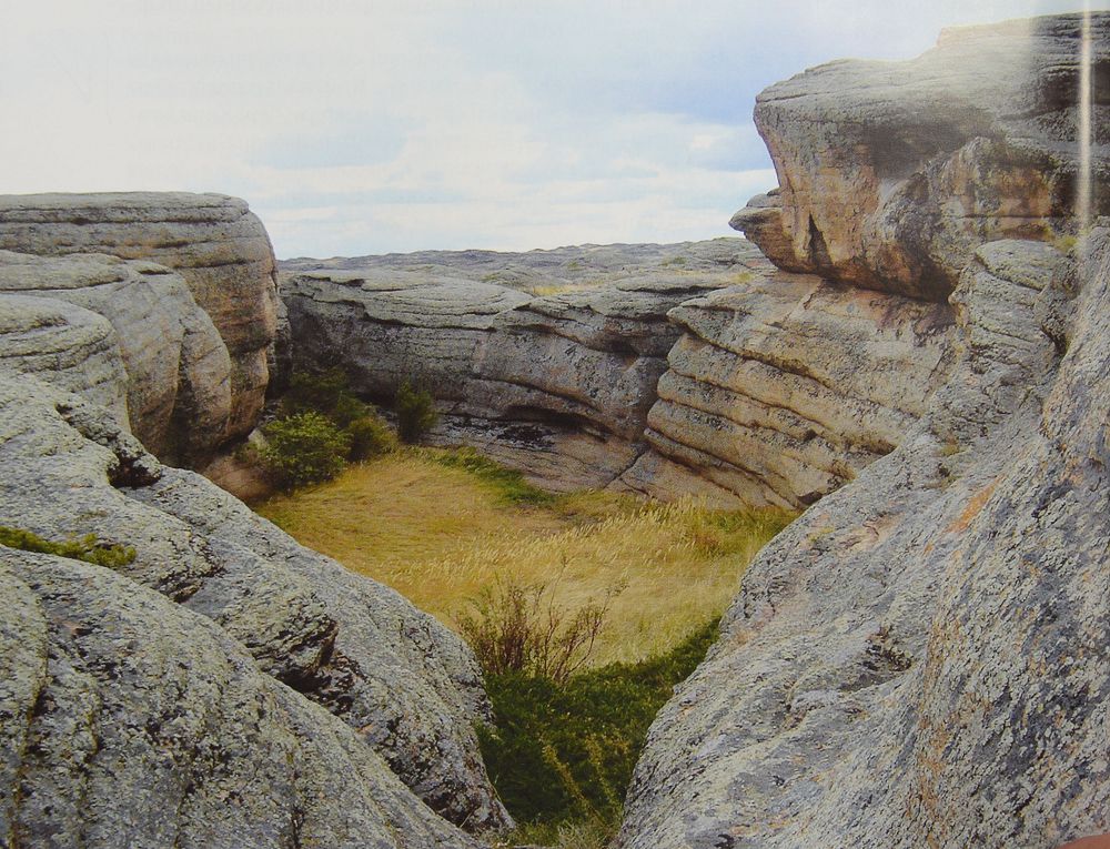 قىسىراق قاماعان