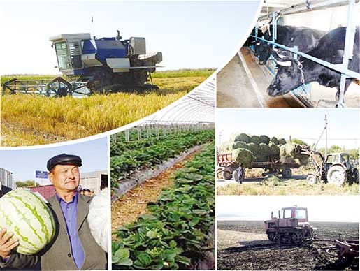 اۋىلشارۋاشىلىق كووپەراتيۆتەرى قالاي قارجىلاندىرىلادى؟