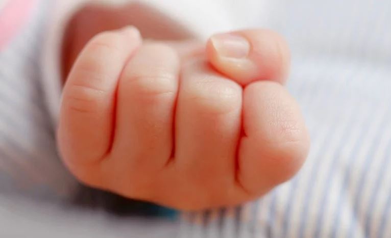 بيىل اتىراۋدا 492 بالا شالا تۋعان