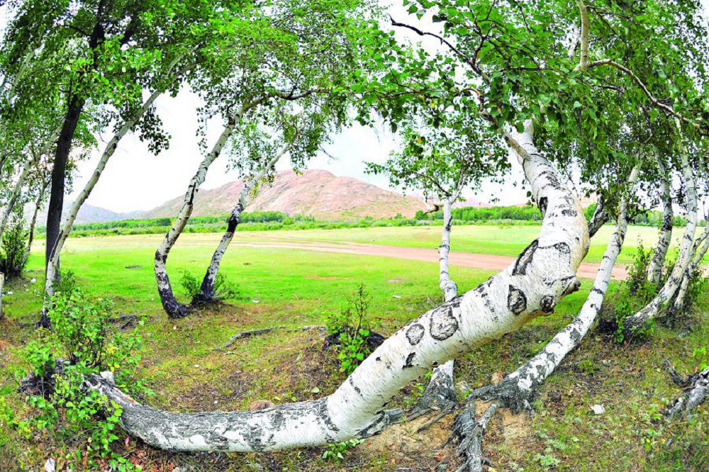  ۇلىتاۋداعى ۇلاعاتتى ىستەر