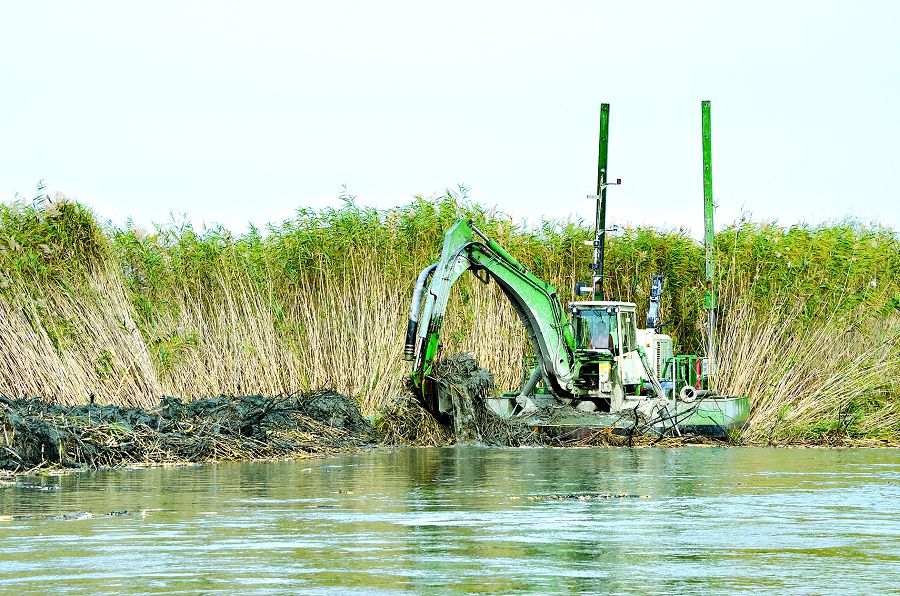 كولدىڭ كوركى – ەلدىڭ كوركى