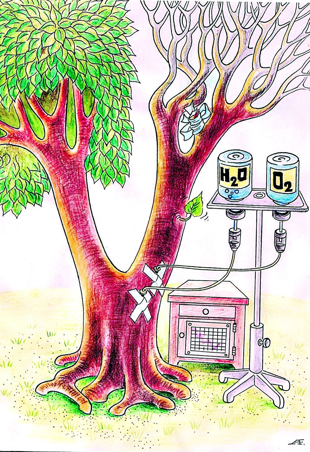 قۋراعان اعاشتان قالاي قۇتىلۋعا بولادى؟