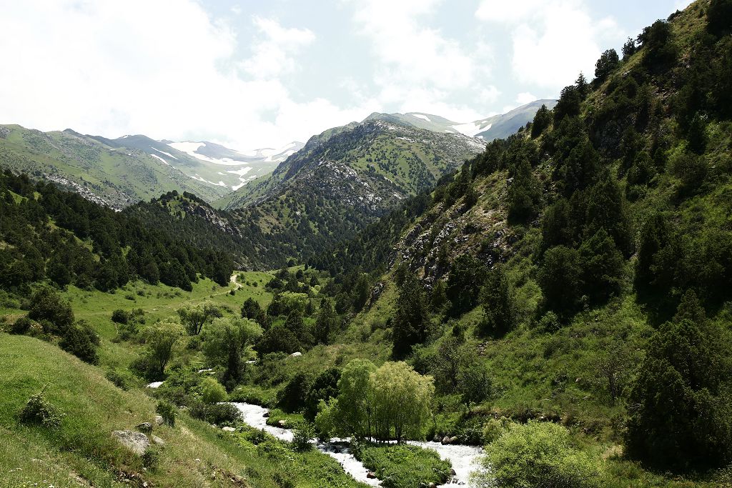 تاڭقۋراي جەگىڭ كەلسە قازىعۇرتقا كەل