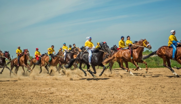 بۇگىن استانادا بايگە تۇرلەرى بويىنشا رەسپۋبليكالىق جارىس وتەدى