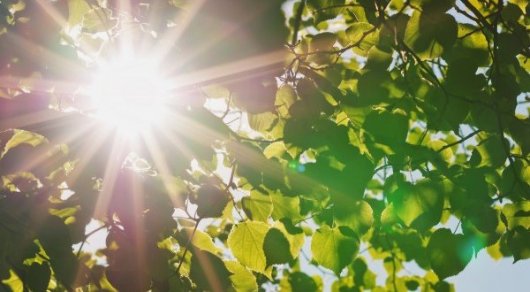 الداعى كۇندەرى 41 گرادۋسقا دەيىن كۇن ىسيدى