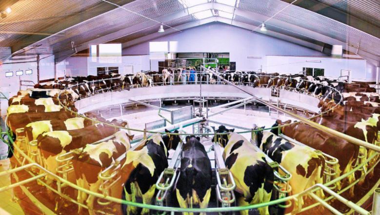 ساعىنتاەۆ سقو-دا اۋىل شارۋاشىلىعى ونىمدەرى وندىرىسىندەگى تەحنولوگيالارمەن تانىستى