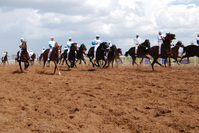 استانادا بايگە تۇرلەرىنەن رەسپۋبليكالىق «ەكسپو-2017» كۋبوگى ءوتتى