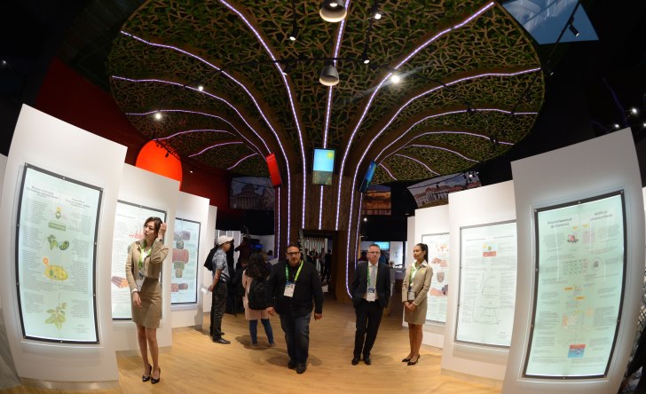 سۋتەكتى ەنەرگيانىڭ پايداسى شاش-ەتەكتەن