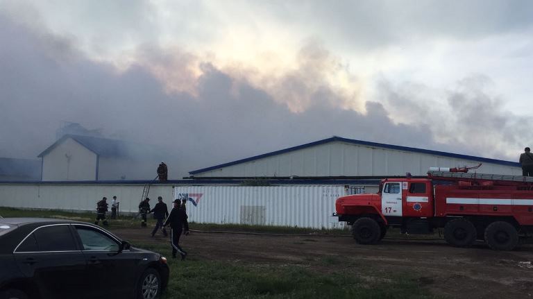 سولتۇستىك قازاقستاندا 28 مەگەجىن مەن 95 توراي قىرىلىپ قالدى 