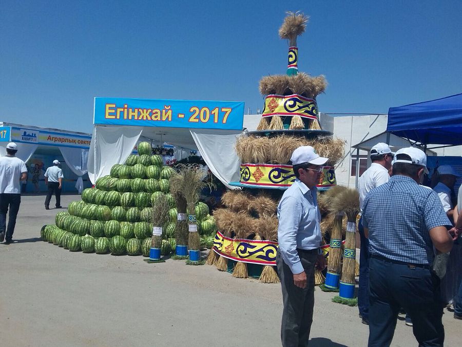 جامبىل وبلىسىندا ەگىنجاي كۇنى ءوتتى