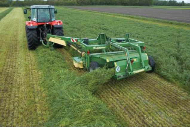 قازاق – قاشاندا قازاق! (24.07.2017)