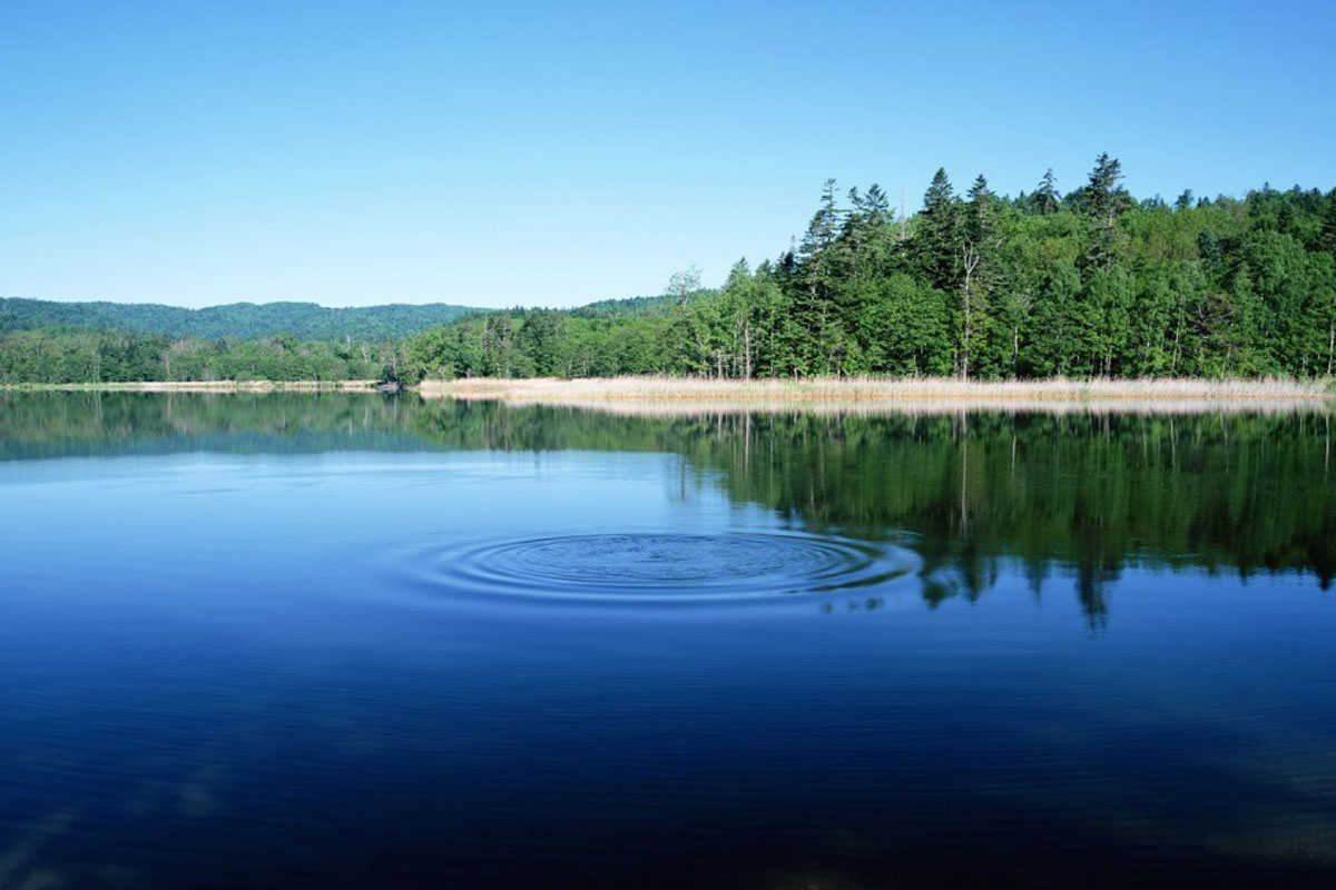جان جابىرقاتقان جايلار, كوڭىل كۇرسىندىرگەن كورىنىستەر