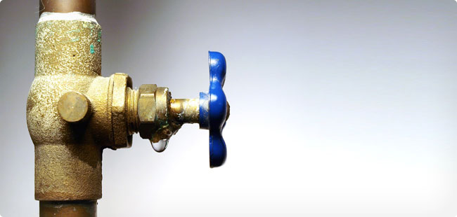 سۋدىڭ سۇراۋى سۋبسيديادا ما؟