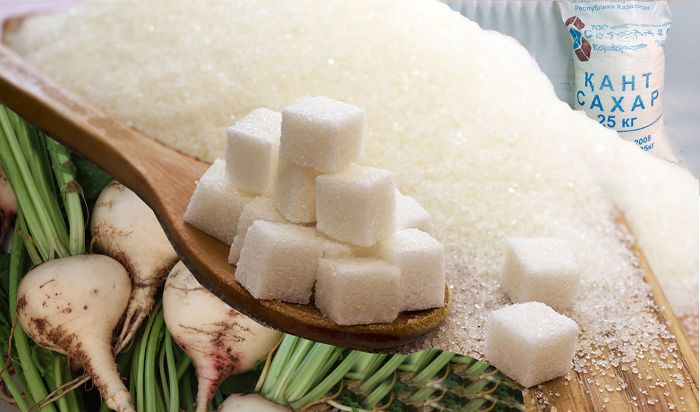 الماتى وبلىسىندا شارۋا قوجالىقتارى مەن وڭدەۋشى كاسىپورىندار اراسىندا تىعىز بايلانىس ورناتىلادى