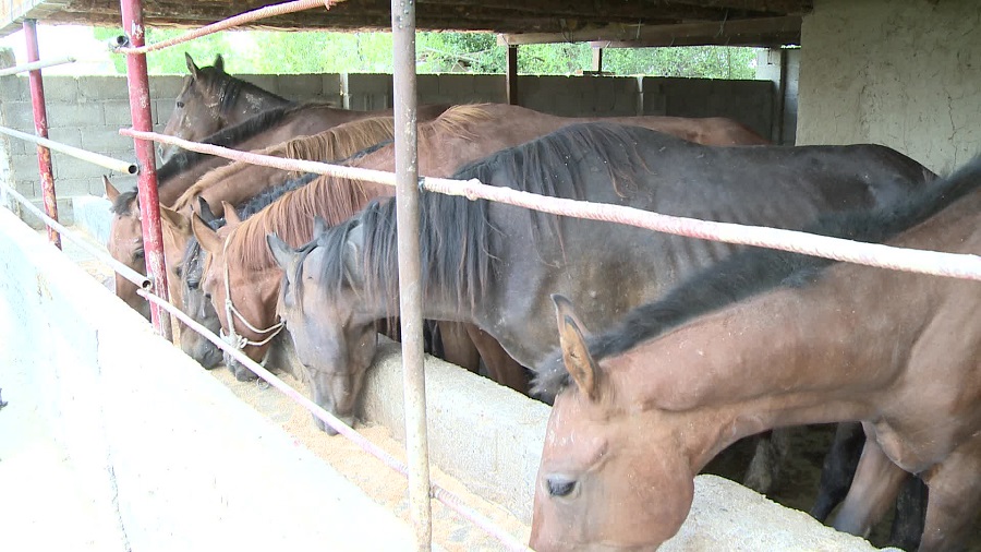 وڭتۇستىكتەگى شاعىن نەسيە ۇيىمى 16 مىڭعا جۋىق جوبانى قارجىلاندىردى