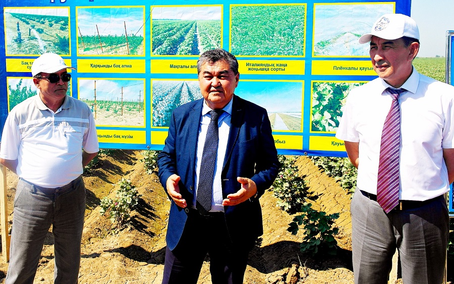 مىرزاشولدىك ماقتاشىلار ماقتا وسىرۋدە تىڭ تاسىلدەردى قولدانا باستادى