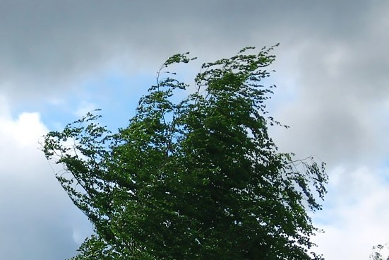 29 شىلدەدە سولتۇستىك پەن شىعىستا جەل كۇشەيەدى, وڭتۇستىك پەن باتىستا - اپتاپ ىستىق