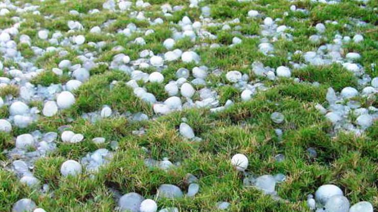 بۇگىن سولتۇستىكتە بۇرشاق جاۋىپ, وڭتۇستىكتە ىستىق بولادى