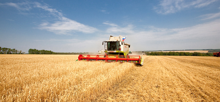 اۋىل شارۋاشىلىعى ەكسپورتقا دەن قويدى 