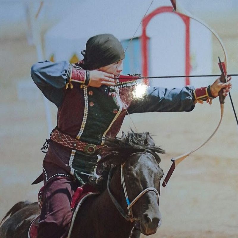 سۇرمەرگەندەر سايىسقا دايىن