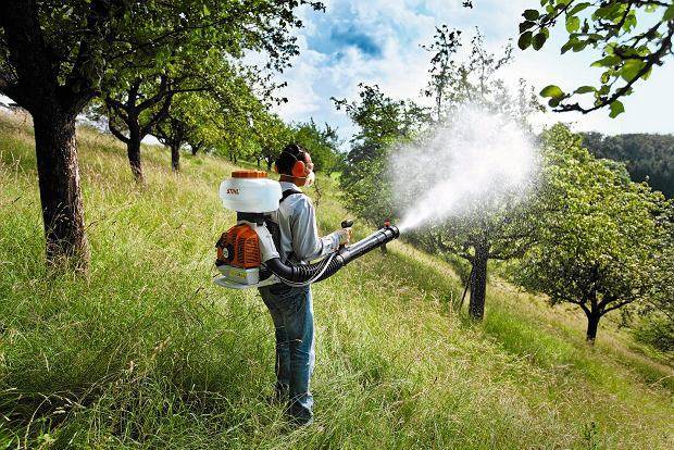 استانادا ماسامەن كۇرەس جۇمىستارى جالعاسۋدا