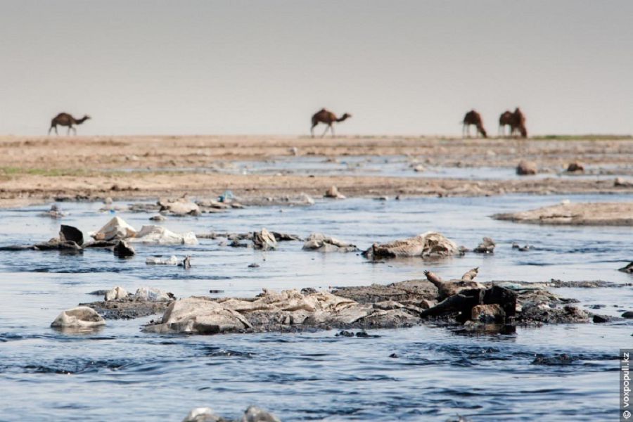 ماڭعىستاۋ ەكولوگياسى: ماسەلە جانە مىندەت