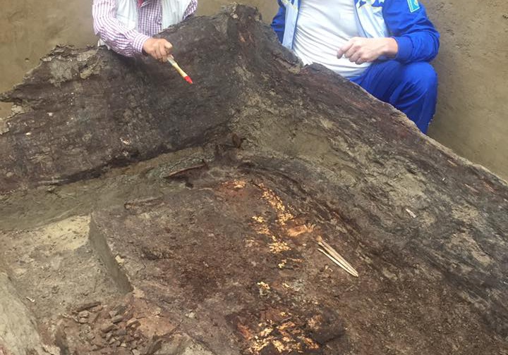 بەرەلدەگى قورعاننان تابىلعان ادام اقسۇيەكتەر اۋلەتىنەن شىققان